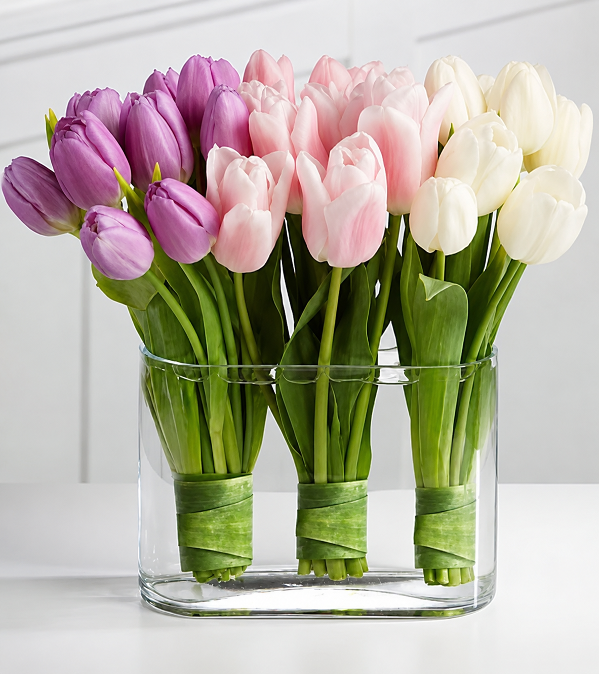 Modern Tulip Harmony