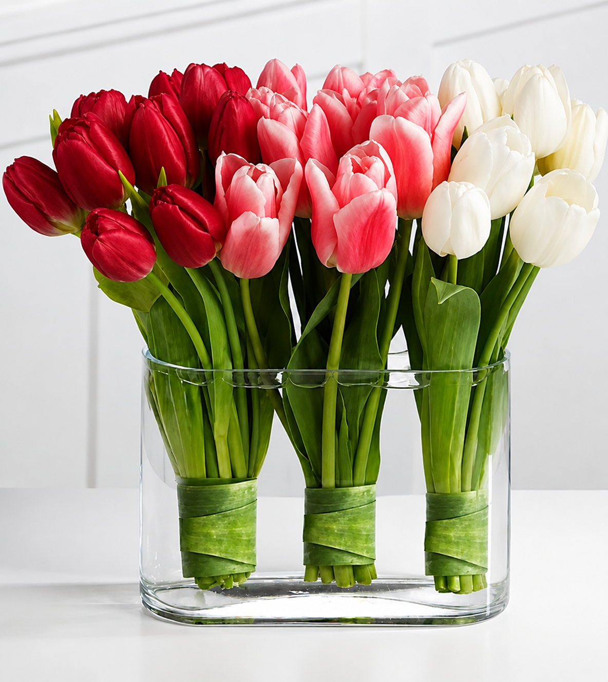 Modern Tulip Harmony