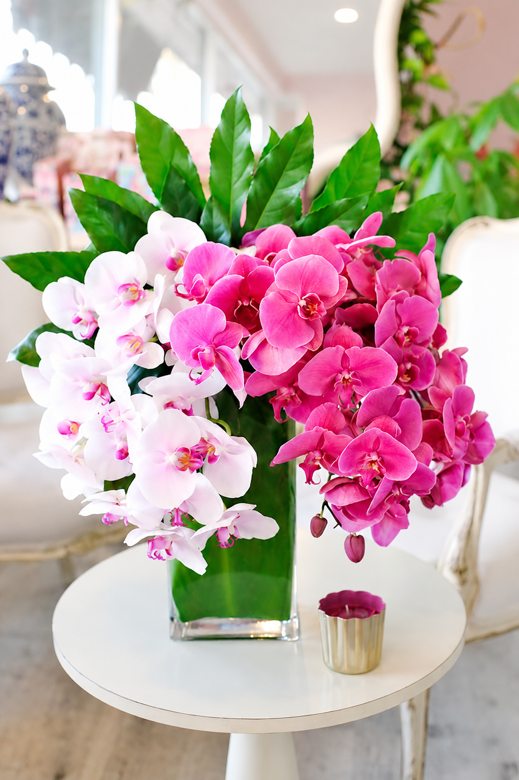 Orchid Elegance