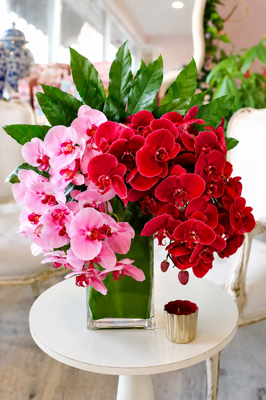 Orchid Elegance
