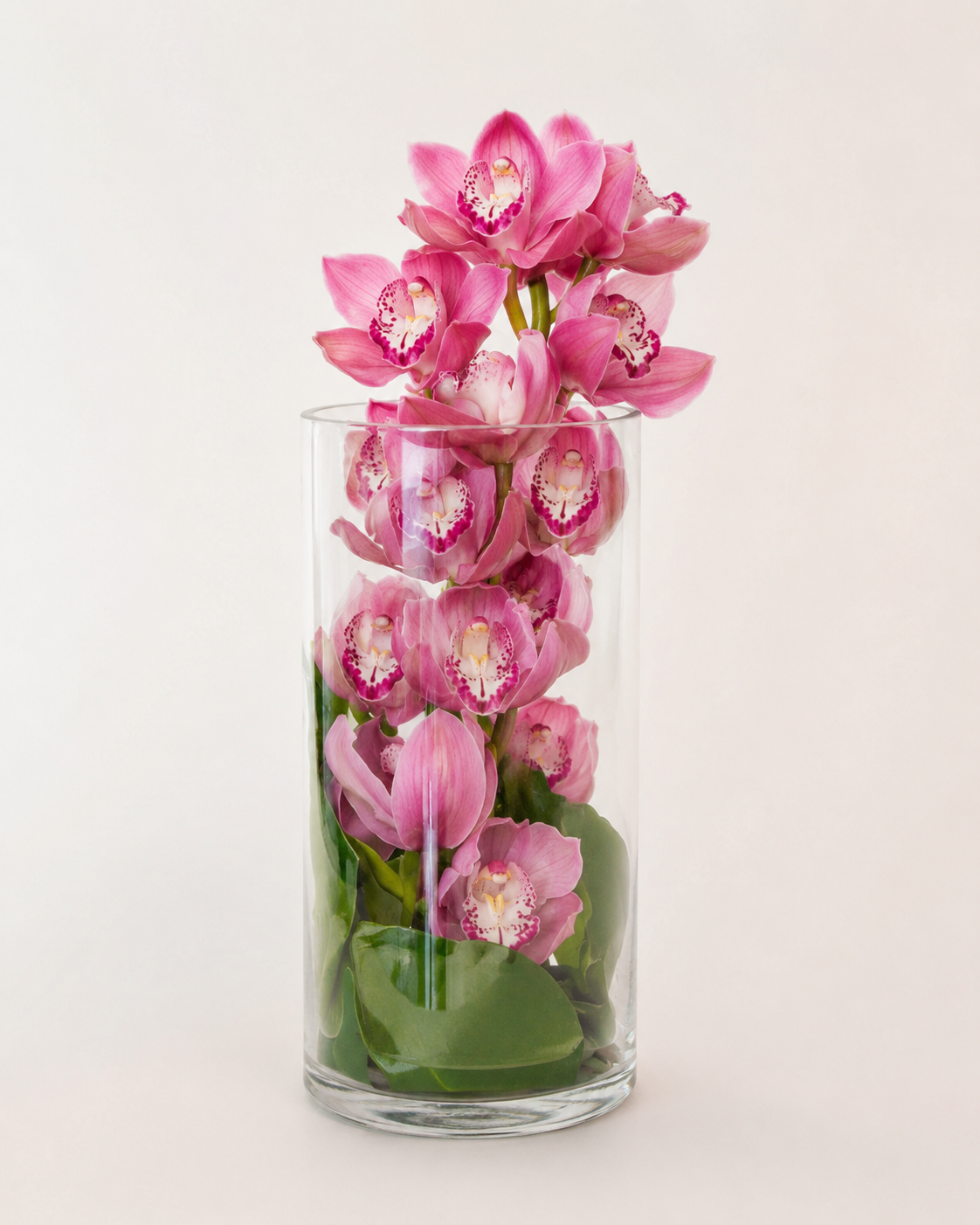 Orchid Luxe