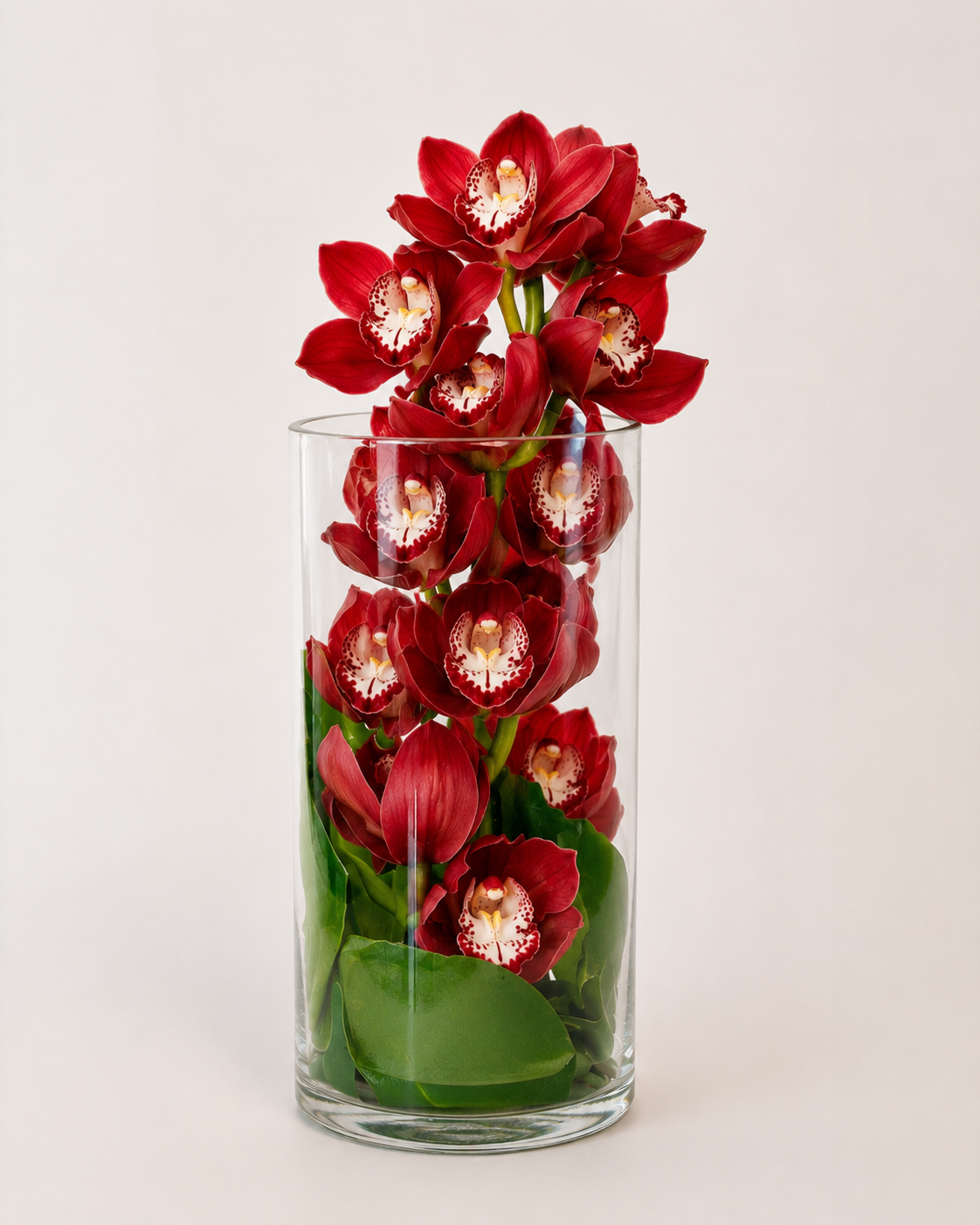 Orchid Luxe