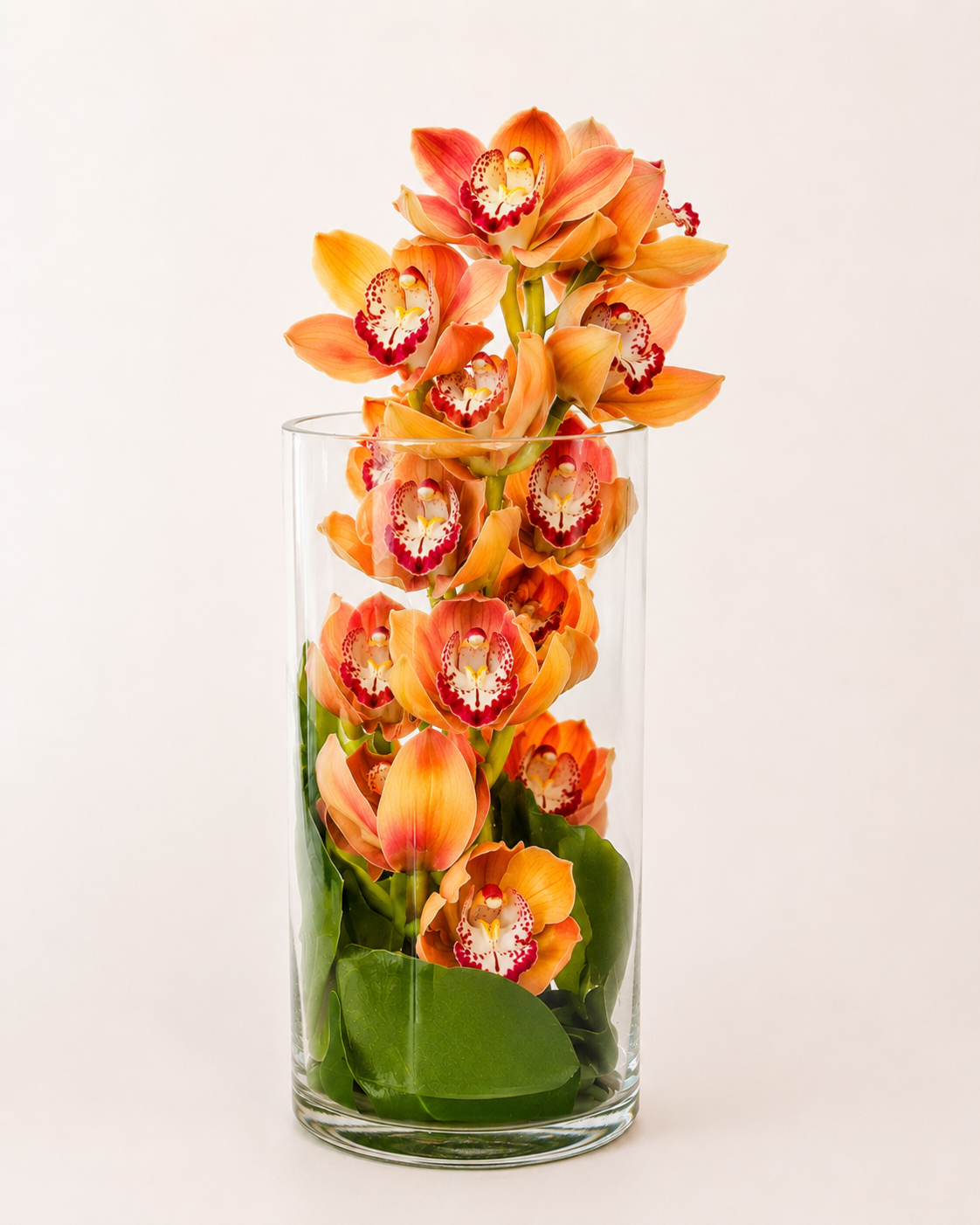 Orchid Luxe