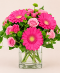 Gerbera Bloom Elegance