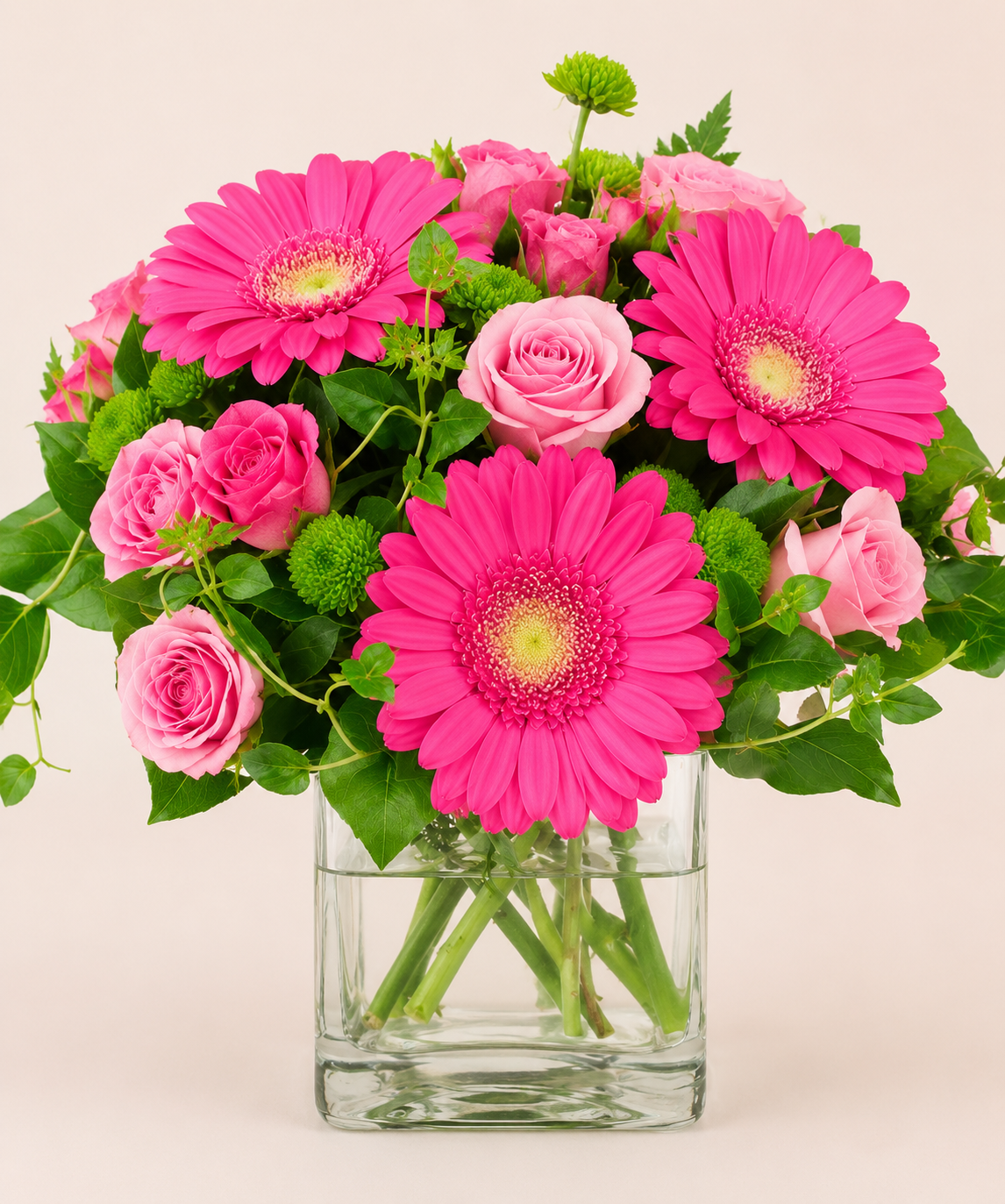 Gerbera Bloom Elegance