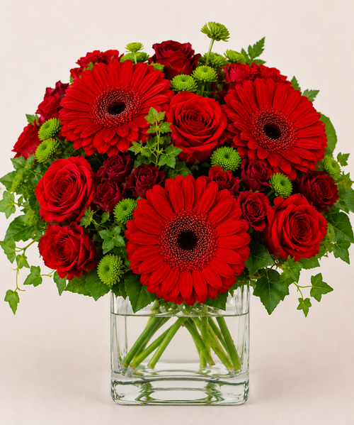 Gerbera Bloom Elegance