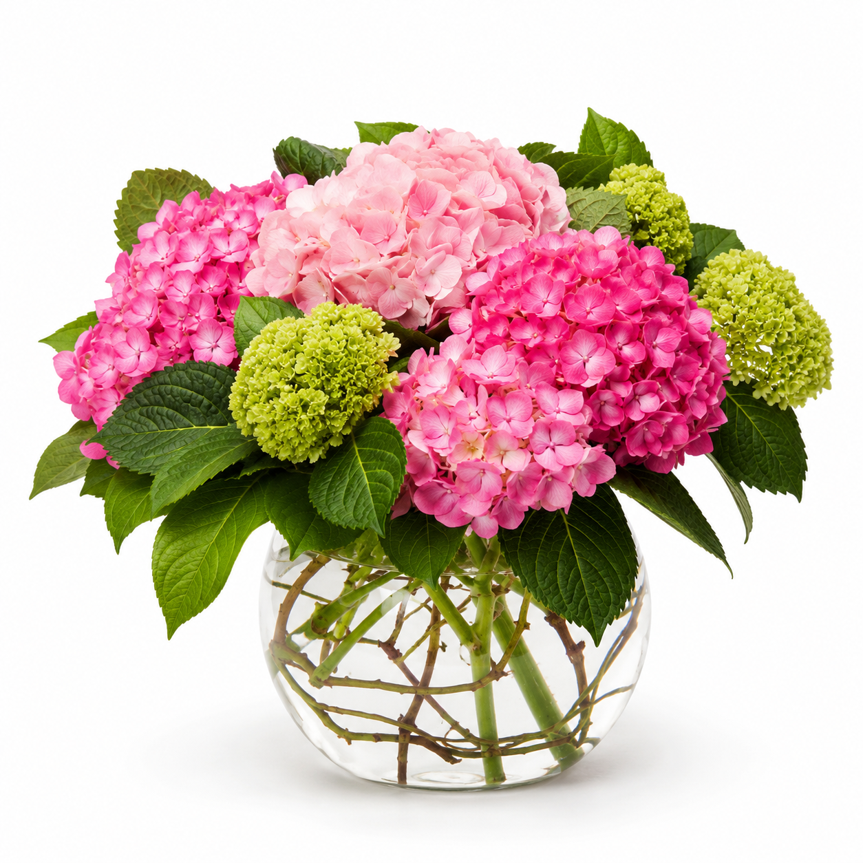 Hydrangea Pearl Garden