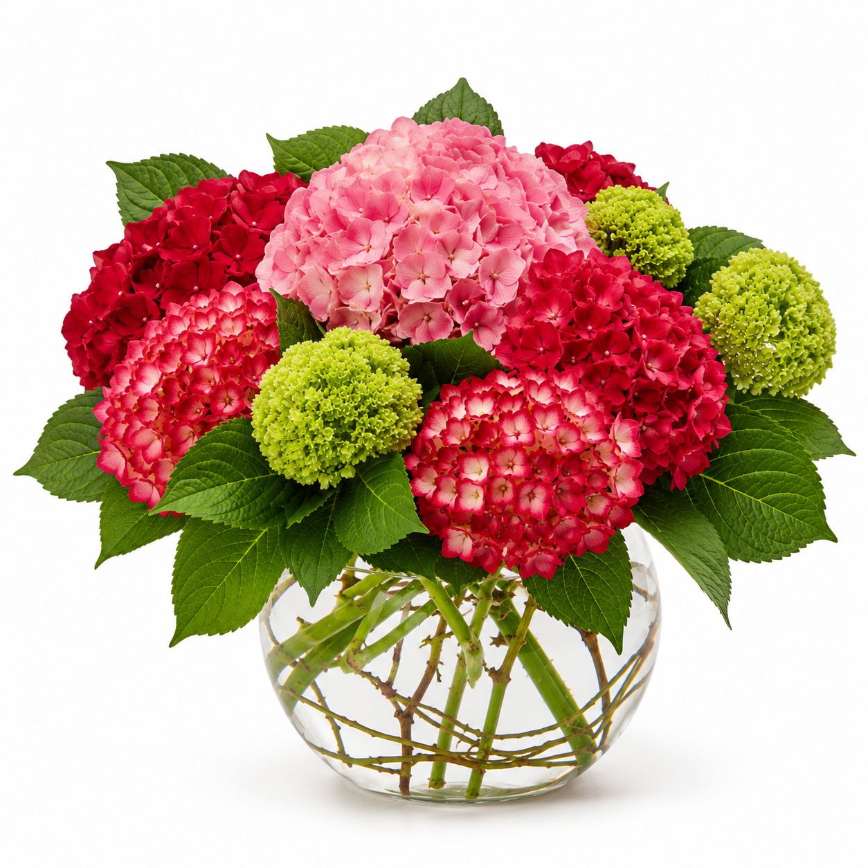 Hydrangea Pearl Garden