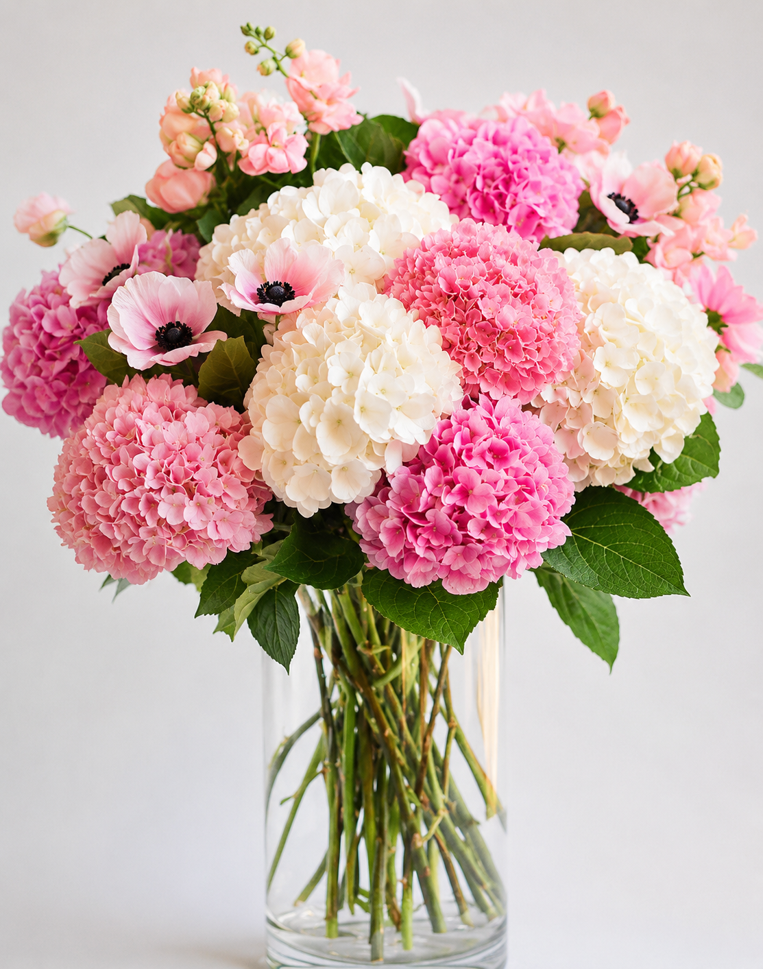Maison Hydrangea