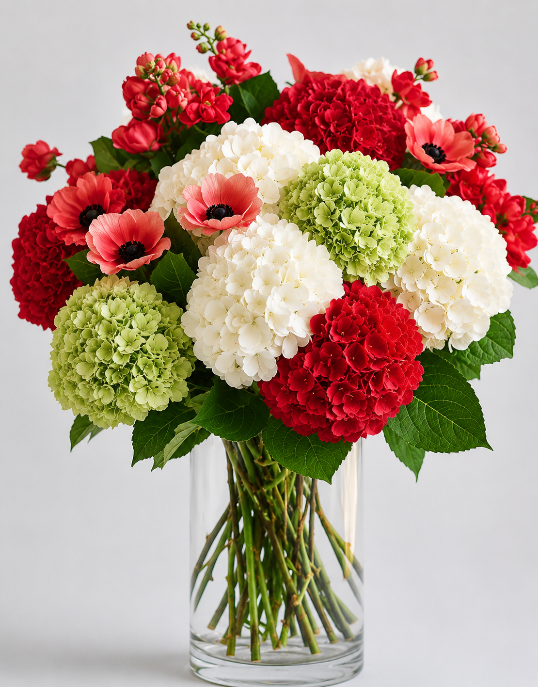 Maison Hydrangea